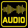 Audio File