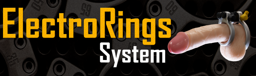 Ring System Banner 1600x480 Small