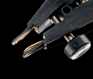 eclip closeup